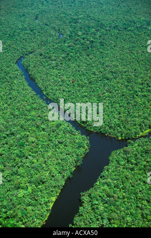 Antenne des Flusses im tropischen Regenwald Marajó Insel Para Brasilien Stockfoto