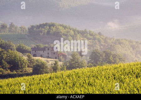 Italienische Landschaft mit Zypressen, eine Kulturlandschaft. Toskana Bauernhof und Weinberg, Poggibonisi, Provinz Siena, Italien, Europa, EU Stockfoto