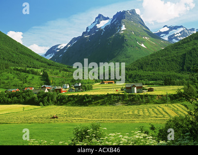 Berge und Farmen in mehr Romsdal Region von Norwegen Stockfoto
