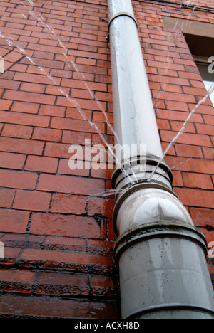 undichtes Abflussrohr Stockfoto