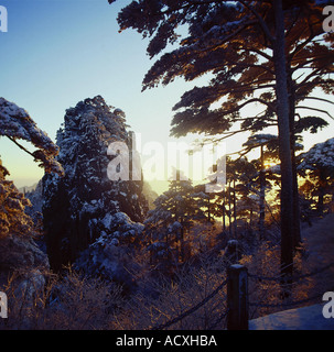 Mount Huangshan China Stockfoto