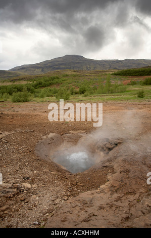 Heißen Sping Litli Geysir im Haukadalur, Island Stockfoto