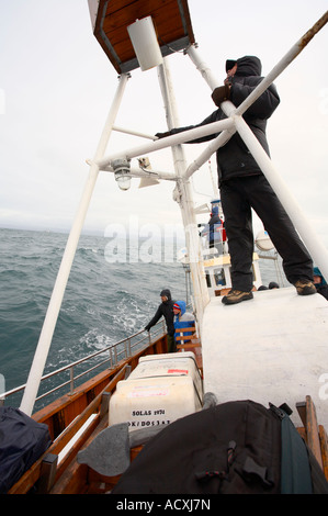 Walbeobachtung auf dem Faldur Boot in der Bucht Skjálfandi, Husavik, Island Stockfoto