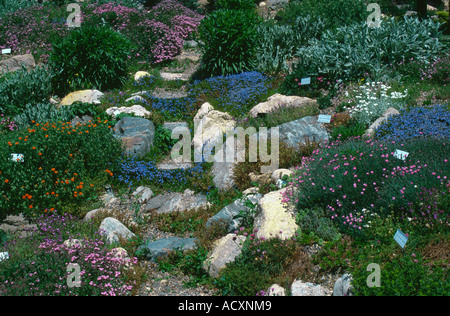 Treppen durch Steingarten Yampa River botanischen Park Steamboat Springs Colorado USA Stockfoto