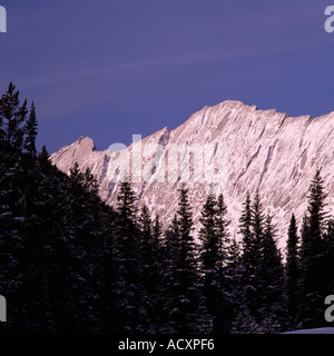 Jasper Nationalpark, Kanadische Rocky Mountains, Alberta, Kanada - Queen Elizabeth Range, Rocky Mountains, Winter Stockfoto