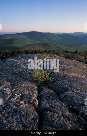 Mount Caribou Gipfel im Frühjahr und Caribou-Speckled Mountain Wilderness, White Mountain National Forest, Maine Stockfoto