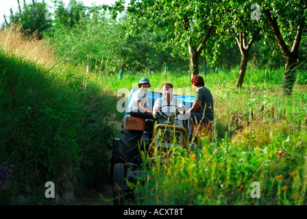 Familie auf einem Traktor, Polen Stockfoto