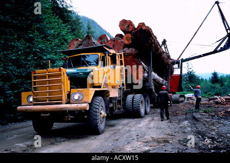 Laden anmeldet ein Logging Truck im Norden von British Columbia Kanada Stockfoto