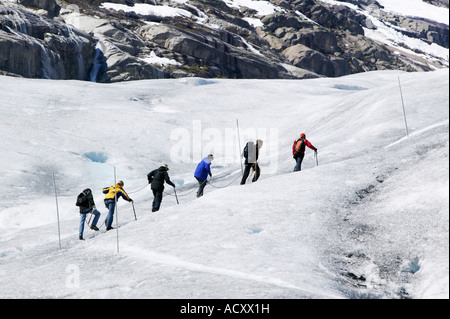 Geführte Wanderung auf dem Nigardsbreen Gletscher Jostedalsbreen Nationalpark Glanz Sogn Og Fjordane Norwegen Stockfoto