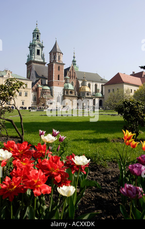 Der Wawel-Kathedrale in Krakau, Polen Stockfoto