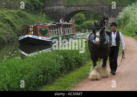 eine Pferdekutsche Hausboot auf dem Canal Grande Western Tiverton Devon England Stockfoto