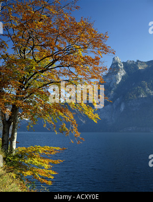 AT - Oberösterreich: See Traunsee im Salzkammergut Stockfoto