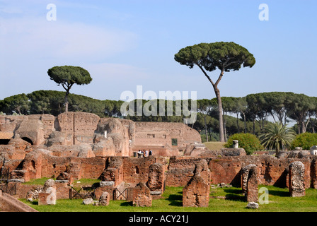 Bäume auf den Ruinen der Palatino, Palatin, Rom die Pinie (Pinus Pinea, Familie Tannenbäumen) ist eine Art von Kiefer stammt aus Südeuropa Stockfoto
