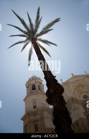 Catedral de Santa Cruz de Cadiz (die Kathedrale von Cadiz), Spanien Stockfoto