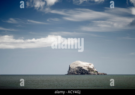 Der Bass-Felsen vor der Küste von North Berwick in Schottland Stockfoto