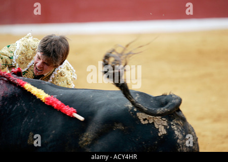 Julian - El Juli - Lopez, eine spanische Matador beim Stierkampf, Spanien Stockfoto