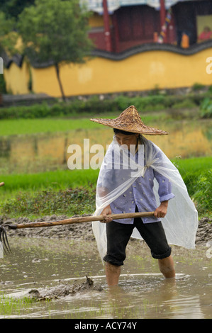 Chinesische Bauer arbeitet auf einem Reisfeld in Likeng Dorf Wuyuan Jiangxi China. 14. Juni 2007 Stockfoto