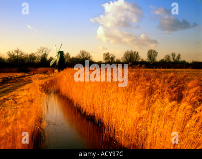 Wicken Fen Norfolk England uk Stockfoto