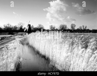 Wicken Fen Norfolk England uk Stockfoto