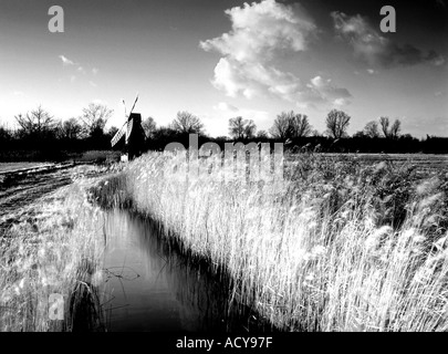 Wicken Fen Norfolk England uk Stockfoto