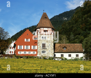 Europa-Liechtenstein-Vaduz-rotes Haus Weinbergen Stockfoto