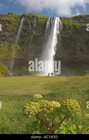 Seljalandsfoss Wasserfall im Süden Islands Stockfoto