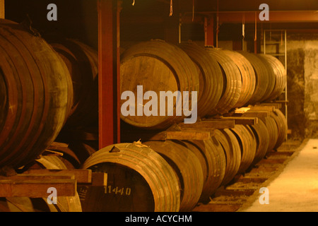 Whisky-Fässer im Keller Stockfoto