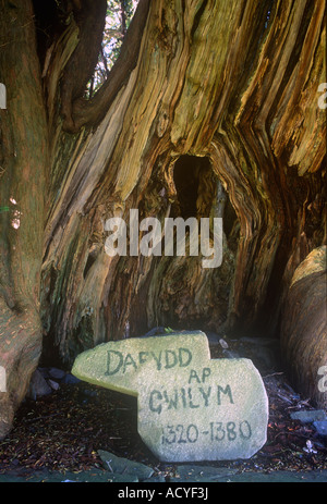 Dafydd ap Gwilym Memorial Stockfoto