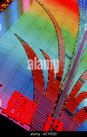 Neonlichter über einem großen Geschäft an der Nanjing Donglu Road in Shanghai in China. Stockfoto