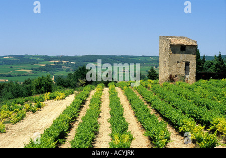 Côtes du Rhône. Weingut. Frankreich Stockfoto