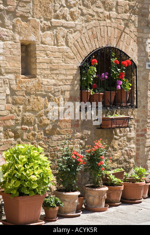 Umgebauten historischen italienischen Bogenfenster, geblümten Wand Fenster mit Blumen in San Giovani Battista, Italien, Europa, EU Stockfoto