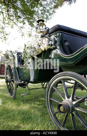 Vintage makellos Pferden gezogene Kutsche Hochzeit dekoriert mit weißen Blüten stehen auf dem Rasen. Stockfoto