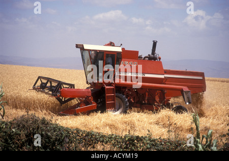 Mähdrescher bei der Arbeit auf einem Feld von Gerste Stockfoto