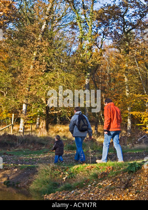 Zwei und eine Hälfte Männer. Drei Generationen im New Forest Nationalpark wandern. Hampshire. Familienausflug. UK Stockfoto