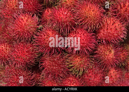 Rambutan - Nephelium lappaceum Stockfoto