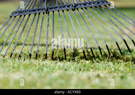 Nahaufnahme einer Harke und Gras Stockfoto