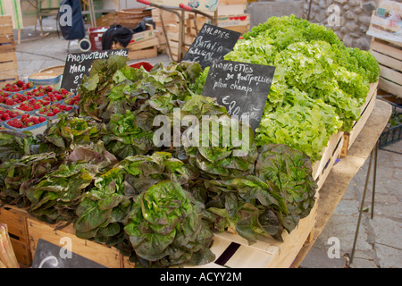 Verschiedene Salatsorten für den Verkauf auf einem typischen französischen Markt im Languedoc-Roussillon, Südfrankreich. Stockfoto
