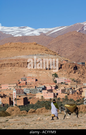 Frau mit Esel Schnee auf den Bergen palmery Tinghir Oase Dorf Atlasgebirge Marokko Afrika Stockfoto