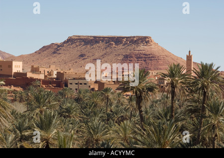 palmery Tinghir Oase Dorf Atlasgebirge Marokko Afrika Stockfoto