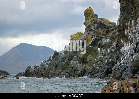 Meereslandschaft Starichkov Insel Punkt Klippen Nordpazifik Kamtschatka Awatscha-Bucht am Abend Stockfoto