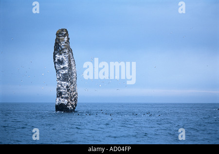 Meereslandschaft in intensivem Blau Farbe hohe Klippen separate Felsen stehend in den Ozean Nord-Pazifik Kamtschatka Stockfoto