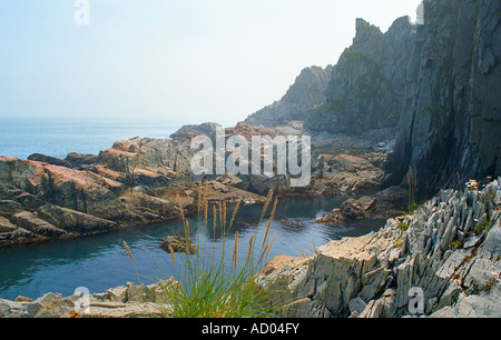 Meereslandschaft Nordpazifik kleine malerische Bucht mit Bush Gras auf Vorder- und Hintergrund Felsen Kamtschatka Stockfoto