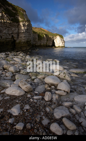 Ein Blick auf Norden Landung bei Flamborough Head auf der East Riding von Yorkshire Coast Stockfoto