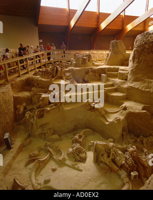 Mammut Standort in der Nähe von heißen Quellen, South Dakota, USA Stockfoto