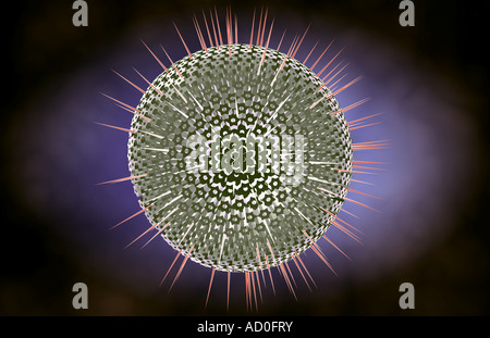 Herpes-Virus-Struktur Stockfoto