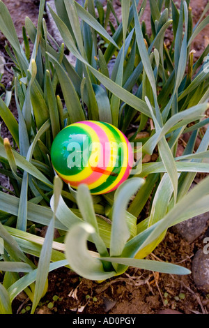 Abisolierten mehrfarbige Plastikei versteckt im Garten für Ostern Jagd.  Mahtomedi Minnesota USA Stockfoto