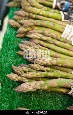 England Bristol Millennium Square Produce Market frische Isle Of Wight Spargel Stockfoto