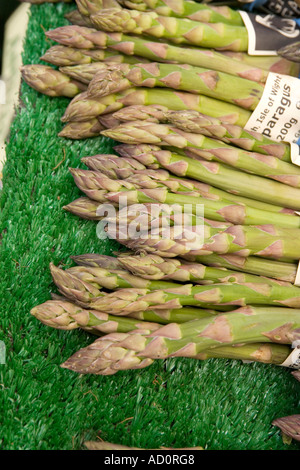 England Bristol Millennium Square Produce Market frische Isle Of Wight Spargel Stockfoto