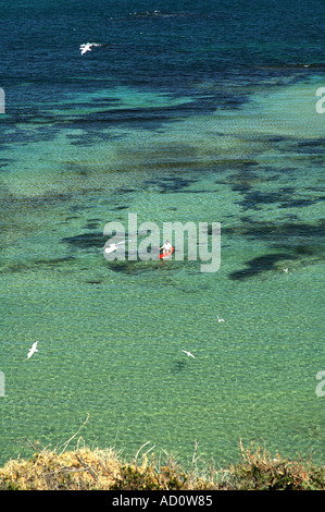 Kajakfahrer Meer unter silberne Möwen Larus Novaehollandiae Shoalwater Islands Marine Park Western Australia Stockfoto