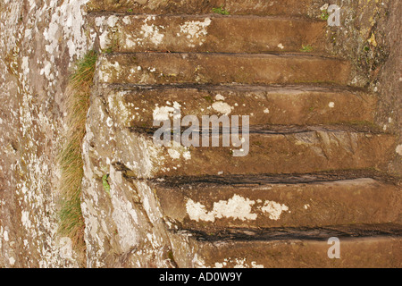 Alte abgenutzte Steintreppen am Dartmouth Devon England Stockfoto